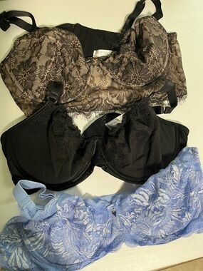 sofia by sofia vergara Black, Taupe Lace & Light Blue Lace Underwire Bras - Trio